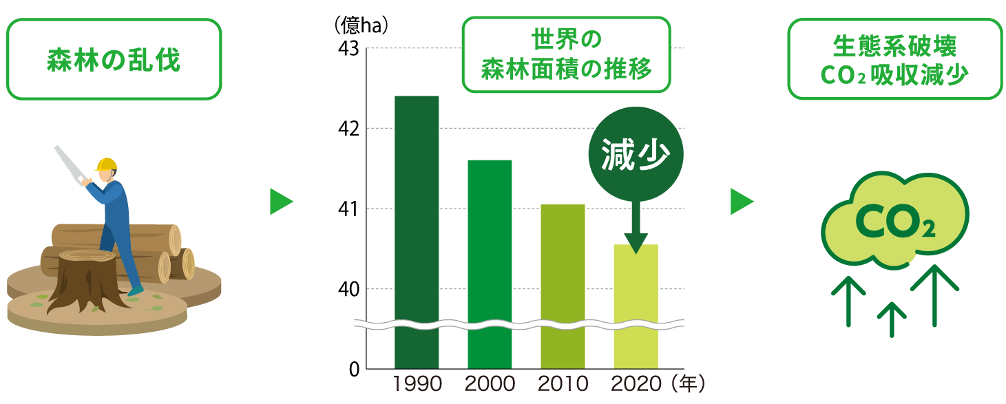 世界の森林が減少しています